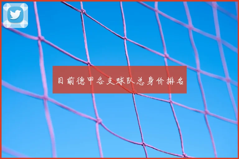 目前德甲各支球队总身价排名