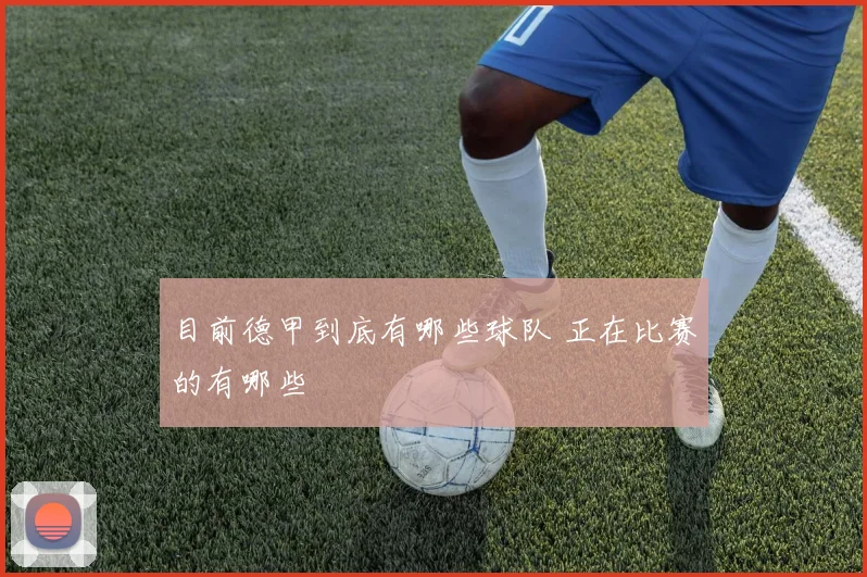 目前德甲到底有哪些球队 正在比赛的有哪些