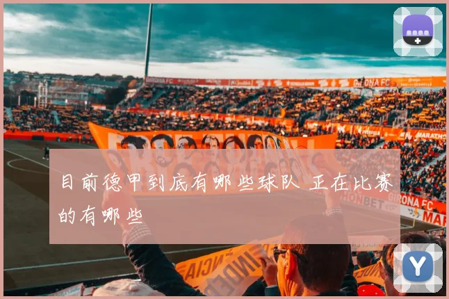 目前德甲到底有哪些球队 正在比赛的有哪些