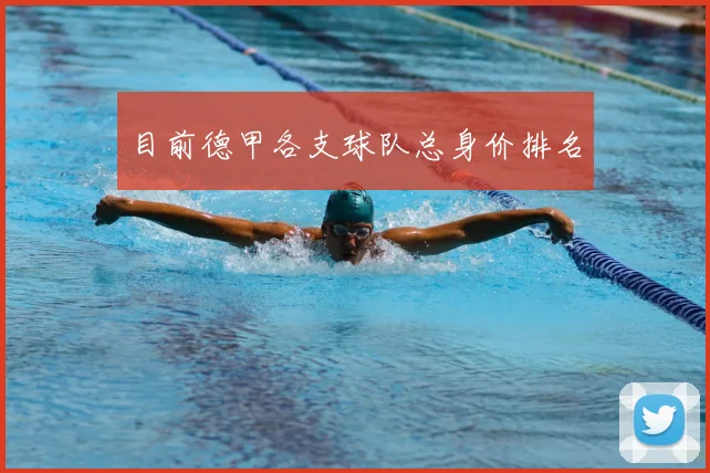 目前德甲各支球队总身价排名