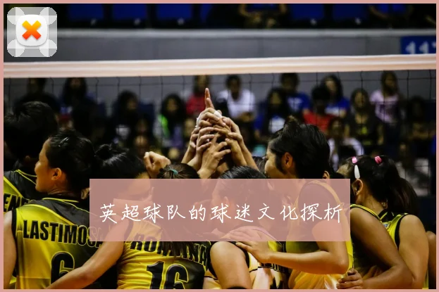 英超球队的球迷文化探析
